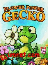 game pic for Flower Power Gecko